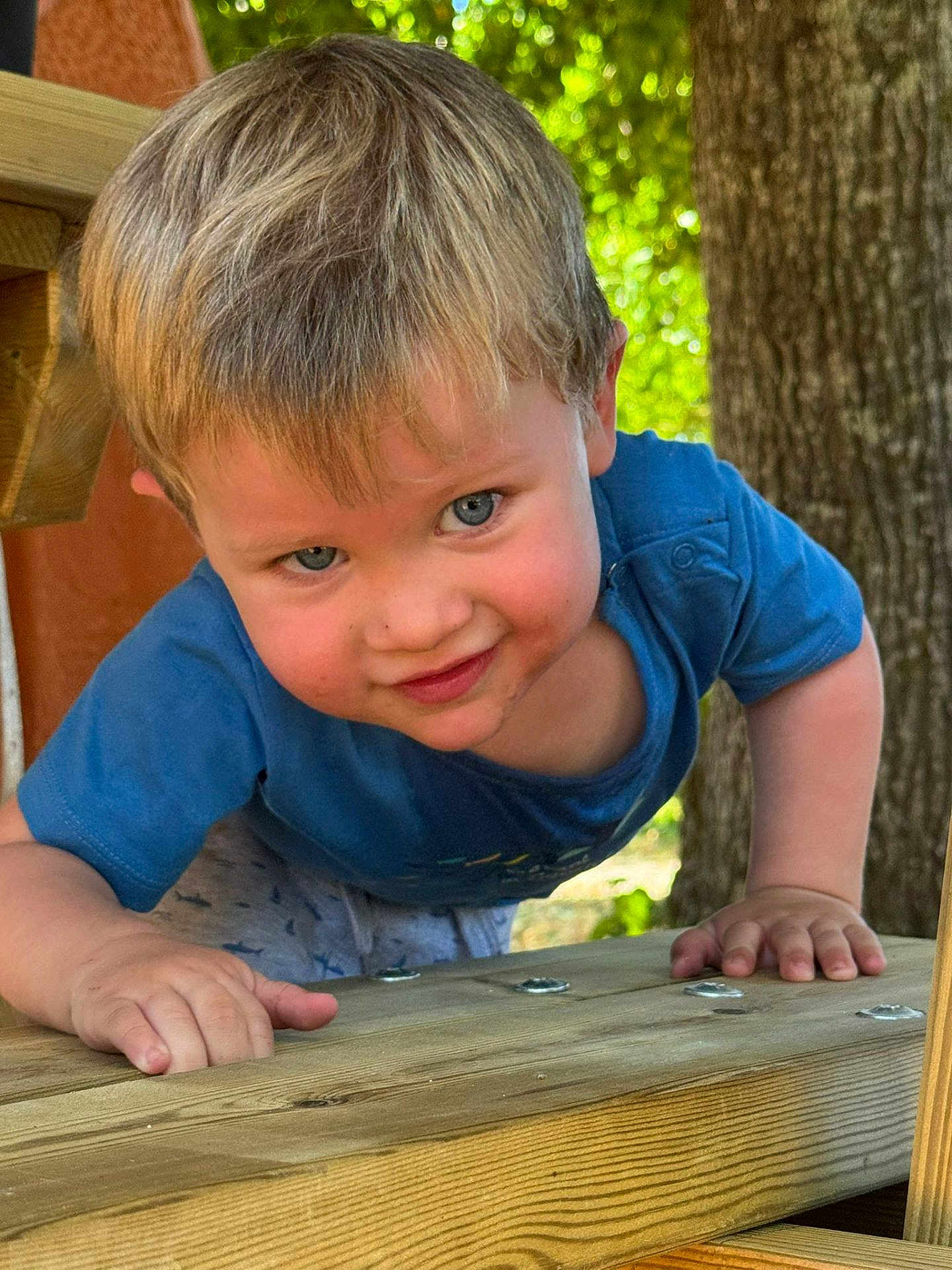 Louis participe au concours pour gagner de l'argent avec cette photo : toddler, child, blue_eyes, blond_hair, outdoor, wooden_structure, tree, playful, smiling, close_up, nature, greenery, daylight, casual_clothing, curious, hands, face, portrait, young_child, summer