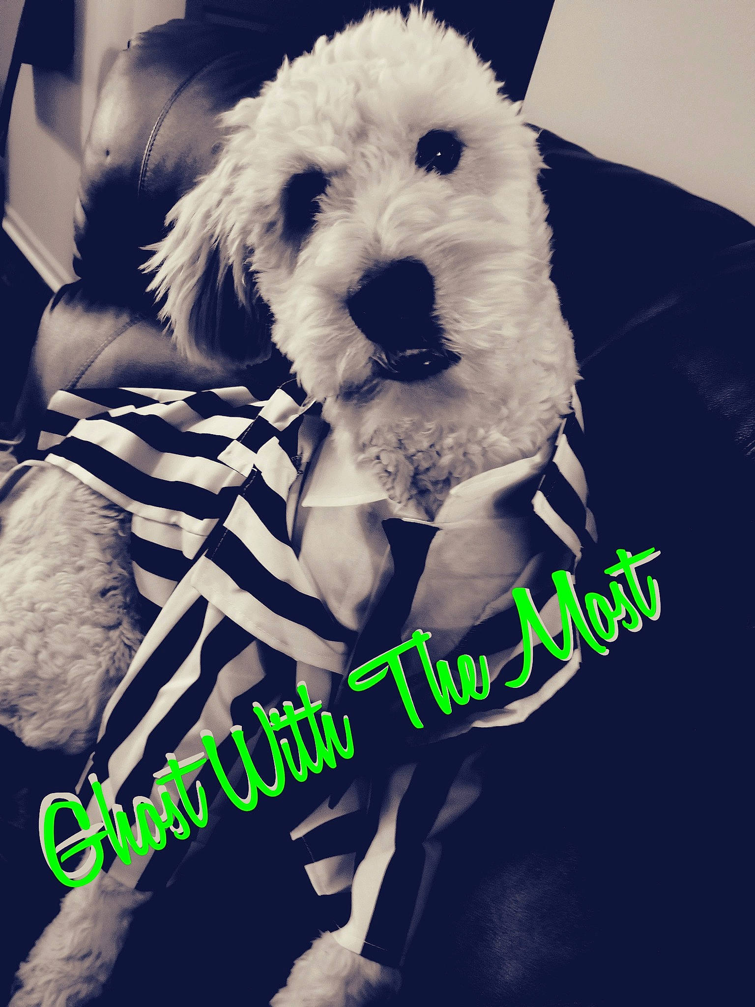 Trooper Cabage Behnke