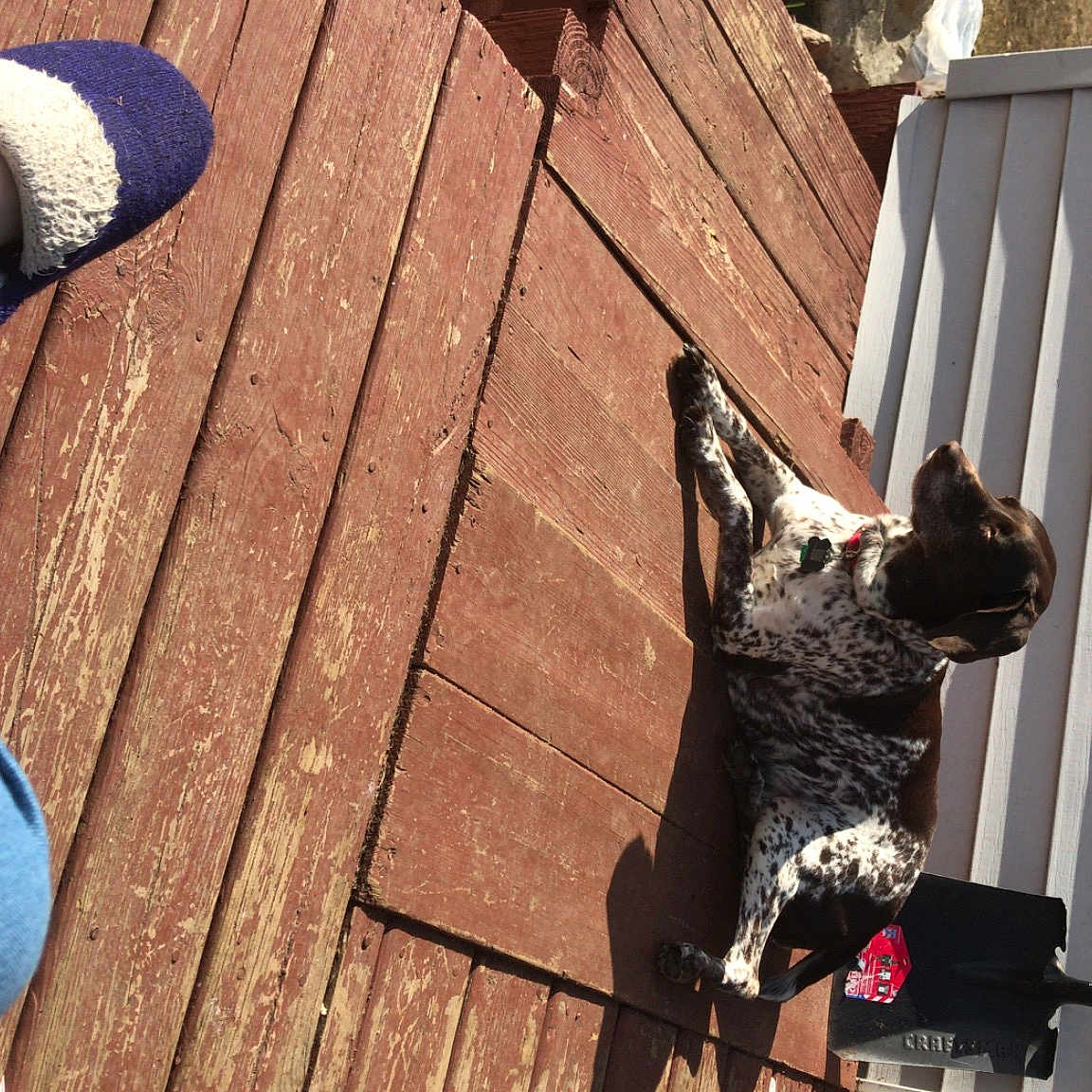 Lucy Lou Tinker