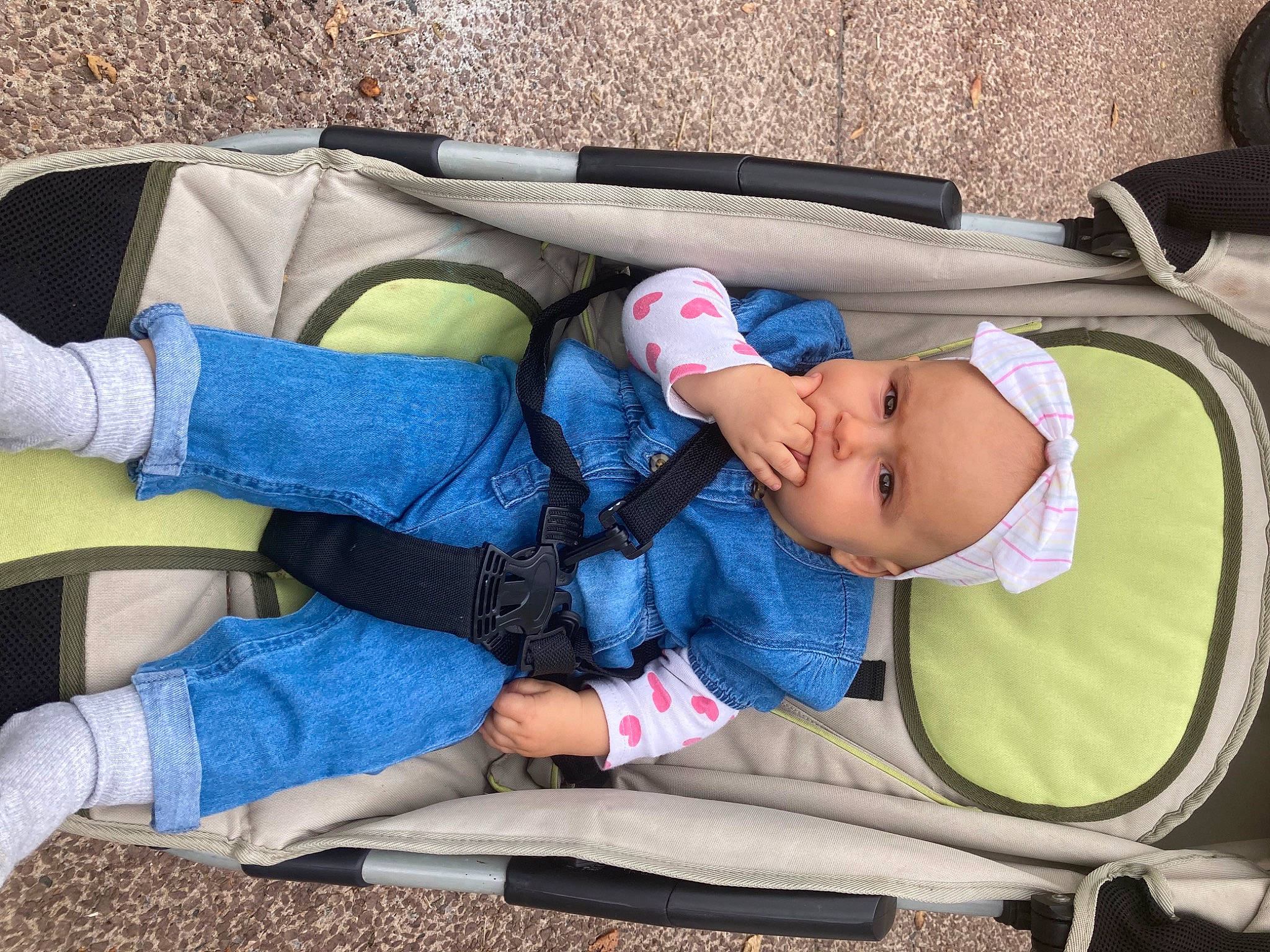 Chloé participe au concours pour gagner de l'argent avec cette photo : baby, baby_carriage, baby_products, baby_toddler_clothing, car_seat, child, comfort, denim, electric_blue, grass, headwear, human_leg, lap, nap, people, person, sitting, sleep, thigh, thumb