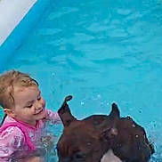 Thunder joined the competition — help win amazing prizes! toddler, dog, pool, water, child, swimming, playful, summer, outdoor, fun, pet, friendship, joy, happy, splashing, pink_clothing, brown_dog, grass, fence, daylight