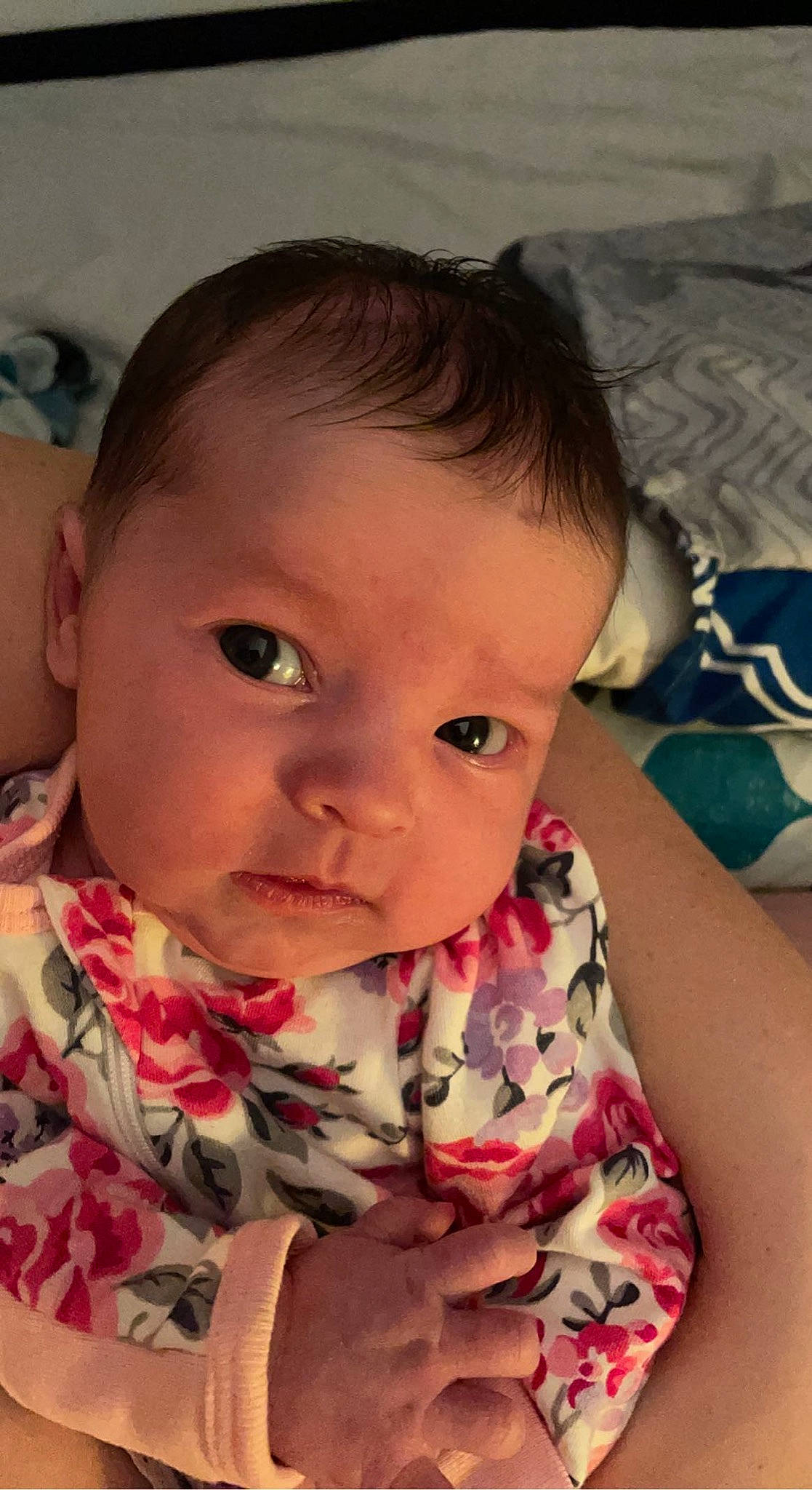 Dixie is registered to the contest to win money with this photo: arm, baby, baby_toddler_clothing, cheek, chin, ear, eye, eyebrow, eyelash, finger, forehead, hairstyle, head, iris, lip, mouth, nose, person, skin, sleeve