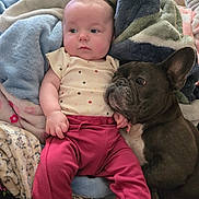 Haisley joined the competition — help win amazing prizes! baby, infant, dog, french_bulldog, blanket, clothing, pink_pants, polka_dot, pet, animal, cute, cozy, indoors, resting, cuddling, furniture, soft, companion, portrait, comfort