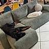 brick_wall, casual, cat, chair, couch, dog, drink, fireplace, floor_tile, furniture, home, indoor, living_room, person, pet, pillow, relaxing, snack, table, window