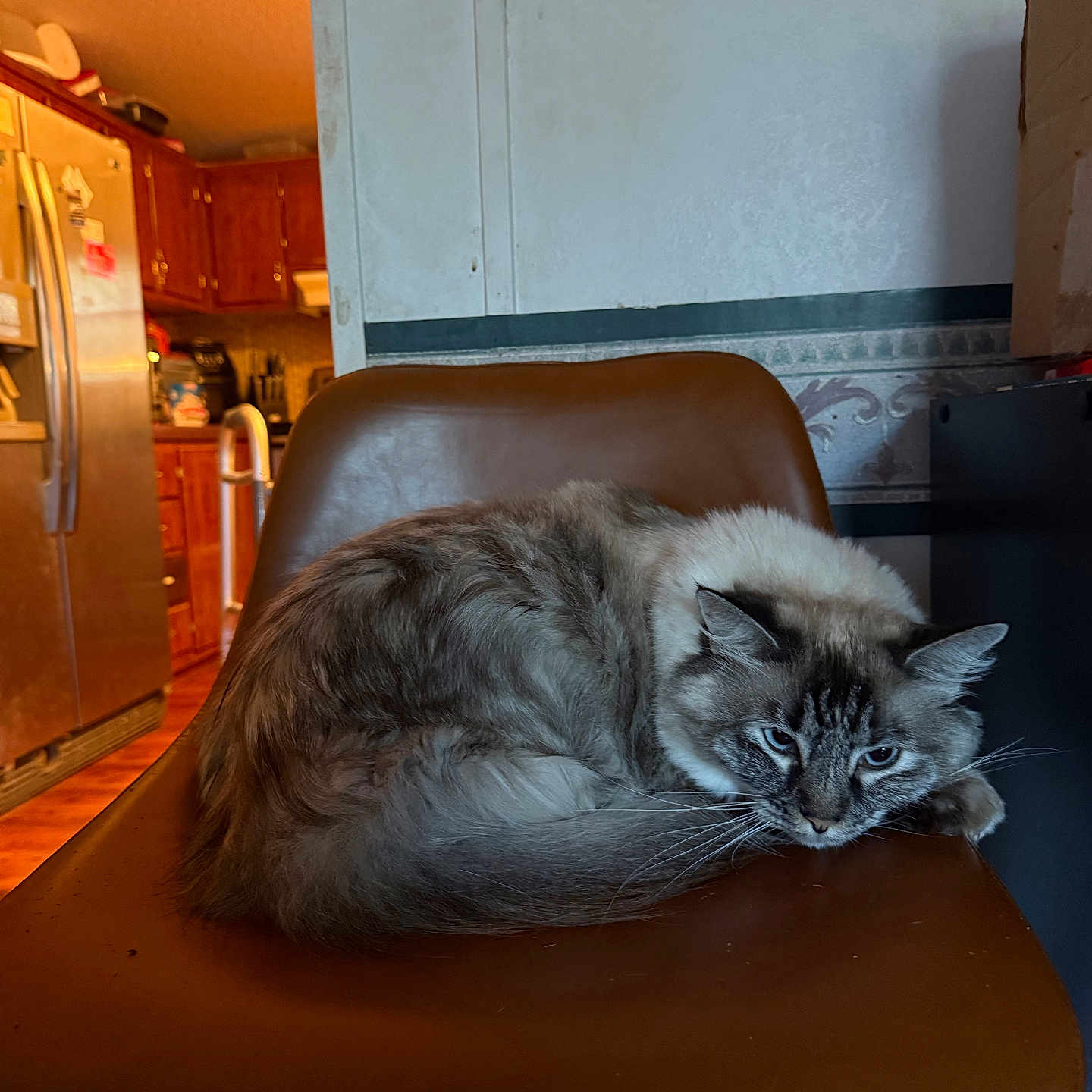 Precious