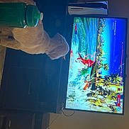 Kogi joined the competition — help win amazing prizes! art, blue, computer_monitor_accessory, display_device, elbow, electric_blue, electronic_device, entertainment, flat_panel_display, fun, gadget, games, glass, led_backlit_lcd_display, machine, multimedia, recreation, television, television_set, visual_arts