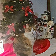 Autumn joined the competition — help win amazing prizes! cat, celebration, christmas_tree, cozy, curtain, decor, feline, festive, holiday_decorations, home, indoor, ornaments, pet, red_bow, seasonal, sitting, snowman, tree_skirt, warm_lighting, wooden_floor