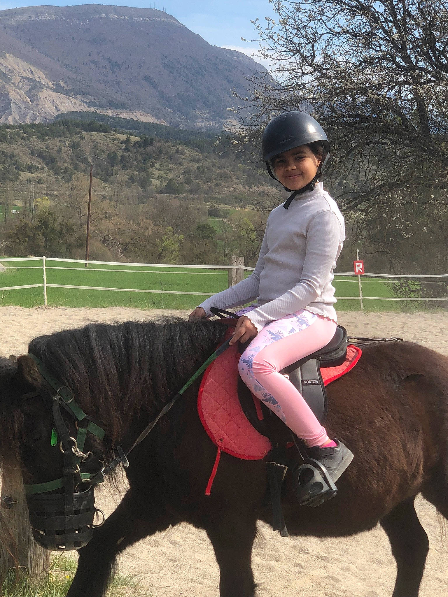 Lhana a rejoint le concours — aidez-le/la à gagner de superbes lots ! bit, bridle, english_pleasure, english_riding, equestrian_helmet, equestrian_sport, equestrianism, halter, headwear, helmet, horse, horse_supplies, horse_tack, joy, landscape, mane, person, plant, rein, saddle