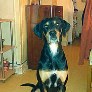 Voyou a rejoint le concours — aidez-le/la à gagner de superbes lots !