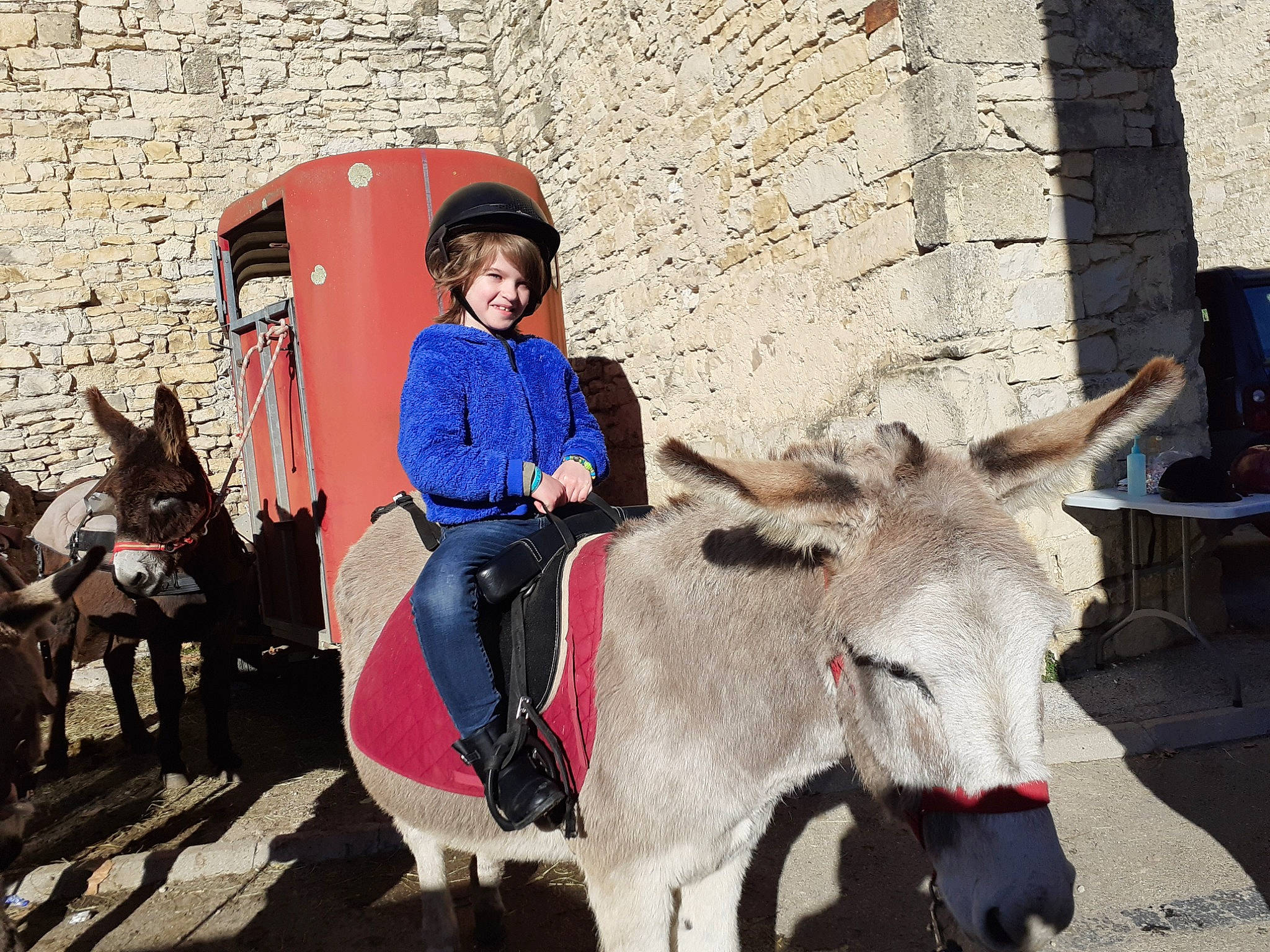 Coraline a rejoint le concours — aidez-le/la à gagner de superbes lots ! bridle, event, fun, horse_supplies, horse_tack, joy, landscape, leisure, livestock, mammal, mane, pack_animal, person, recreation, rein, saddle, smile, tourism, travel, vertebrate