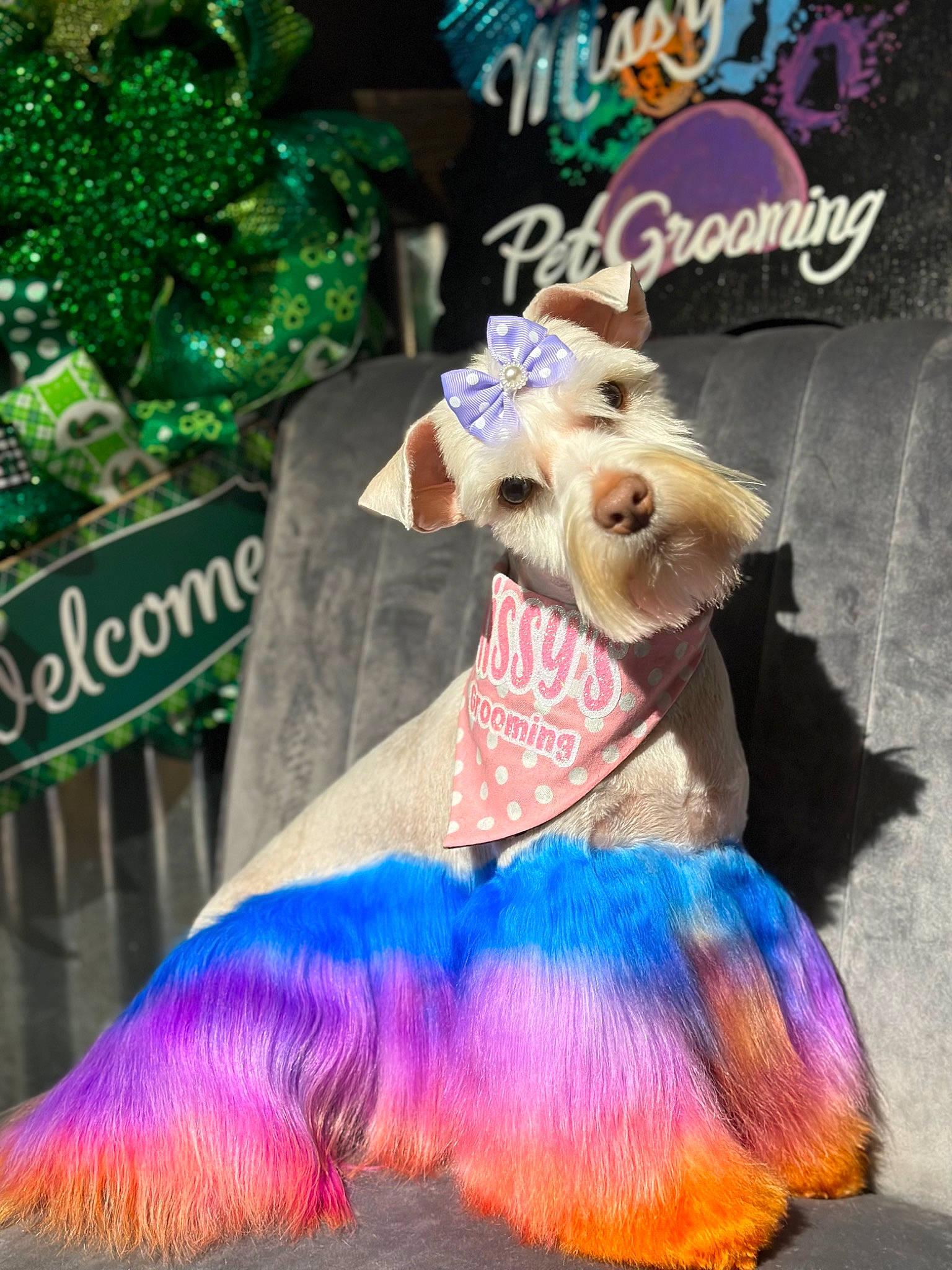 Paisley joined the competition — help win amazing prizes! bow_tie, carnivore, companion_dog, costume_design, dog_breed, dog_clothes, dog_supply, electric_blue, entertainment, event, fashion_design, fawn, feather, fictional_character, fun, fur, magenta, performing_arts, pink, tail