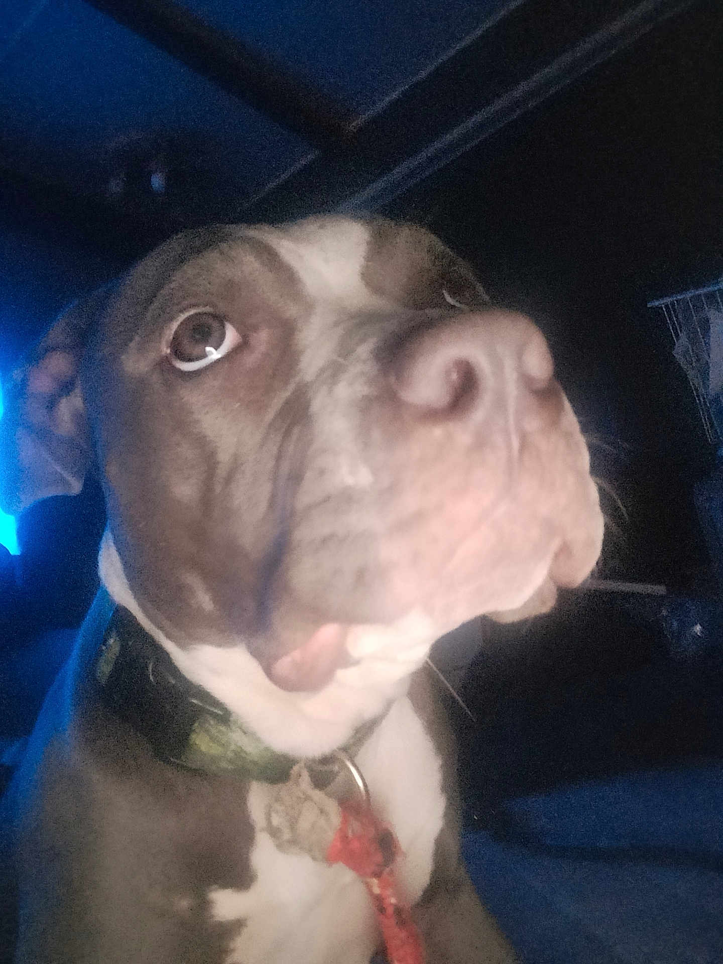Artemis