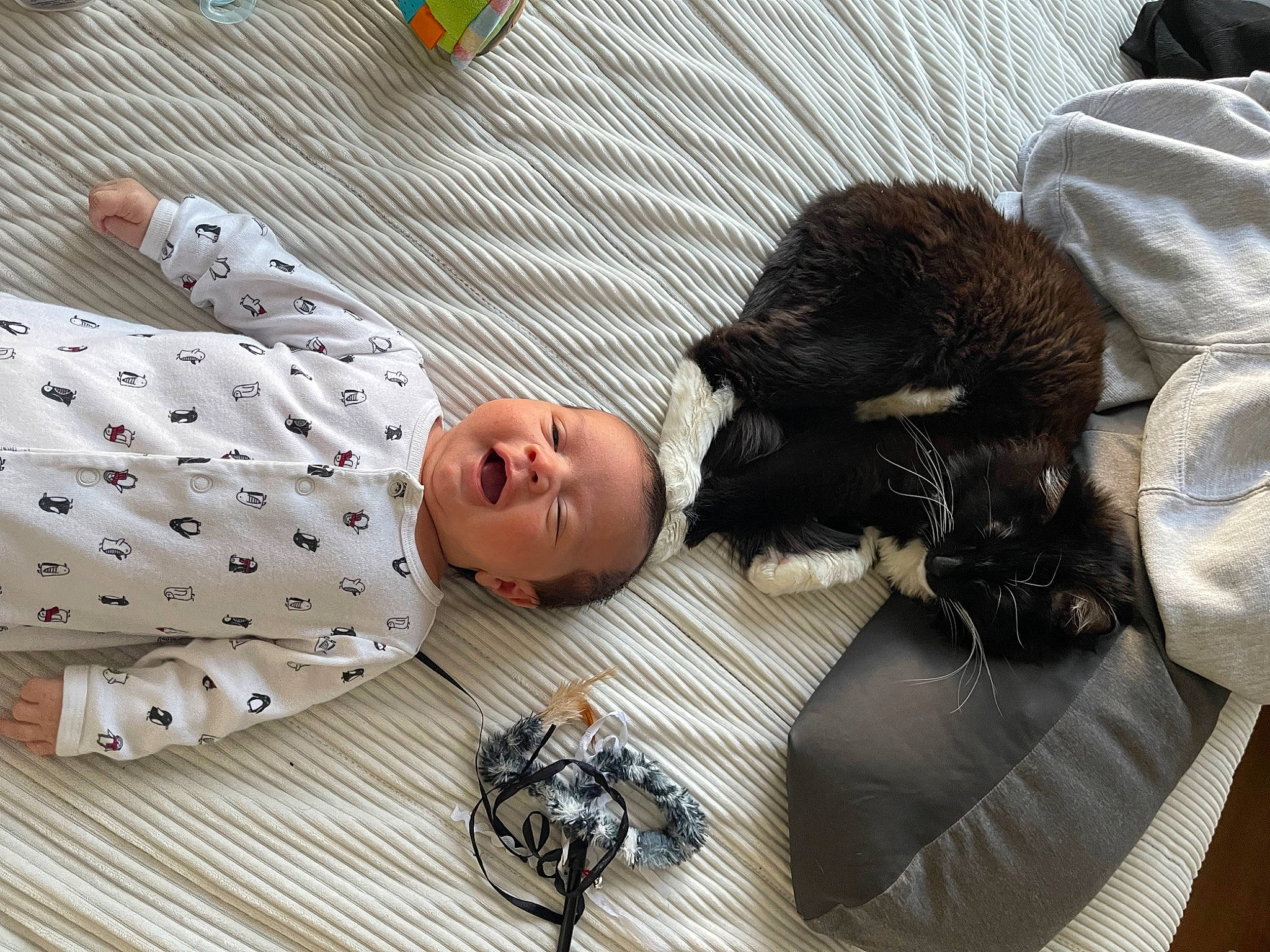 Milton Nathaniel is registered to the contest to win money with this photo: baby, baby_toddler_clothing, bed, bed_sheet, bedding, child, comfort, companion_dog, couch, flooring, fur, linens, nap, pattern, person, room, toddler, toy, toy_dog, vertebrate