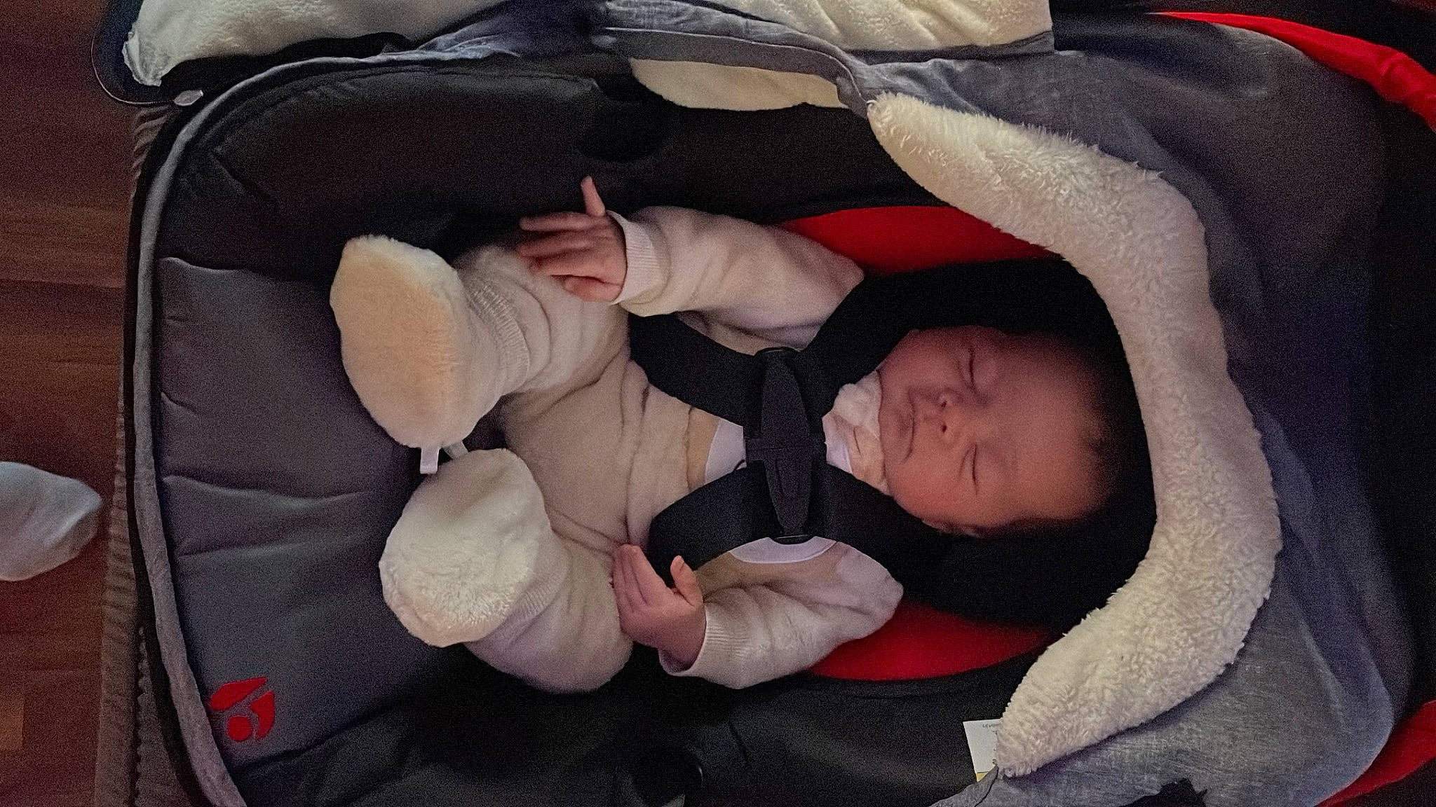 Milton Nathaniel is registered to the contest to win money with this photo: baby, baby_carriage, baby_products, baby_safety, baby_sleeping, baby_toddler_clothing, car_seat, carmine, child, comfort, infant_bed, lap, nap, person, product, sitting, sleep, textile, thumb, toddler