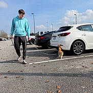 Girlie is registered to the contest to win money with this photo: man, cat, parking_lot, car, leash, walking, hoodie, leaves, asphalt, outdoor, daylight, casual_clothing, vehicle, sidewalk, sky, clouds, person, pet, orange_cat, footwear