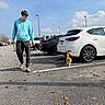 man, cat, parking_lot, car, leash, walking, hoodie, leaves, asphalt, outdoor, daylight, casual_clothing, vehicle, sidewalk, sky, clouds, person, pet, orange_cat, footwear