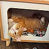 cat, orange_cat, fluffy, indoor, wooden_cat_house, blanket, pet, animal, feline, relaxed, cozy, cute, looking_at_camera, floor, home, fur, ears, whiskers, paws, resting