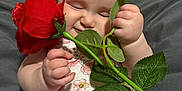 Elliana joined the competition — help win amazing prizes! baby, infant, rose, flower, smiling, happy, cute, floral_onesie, soft_skin, green_leaves, red_flower, sitting, indoors, child, young, holding, plant, nature, adorable, portrait