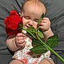 baby, infant, rose, flower, smiling, happy, cute, floral_onesie, soft_skin, green_leaves, red_flower, sitting, indoors, child, young, holding, plant, nature, adorable, portrait