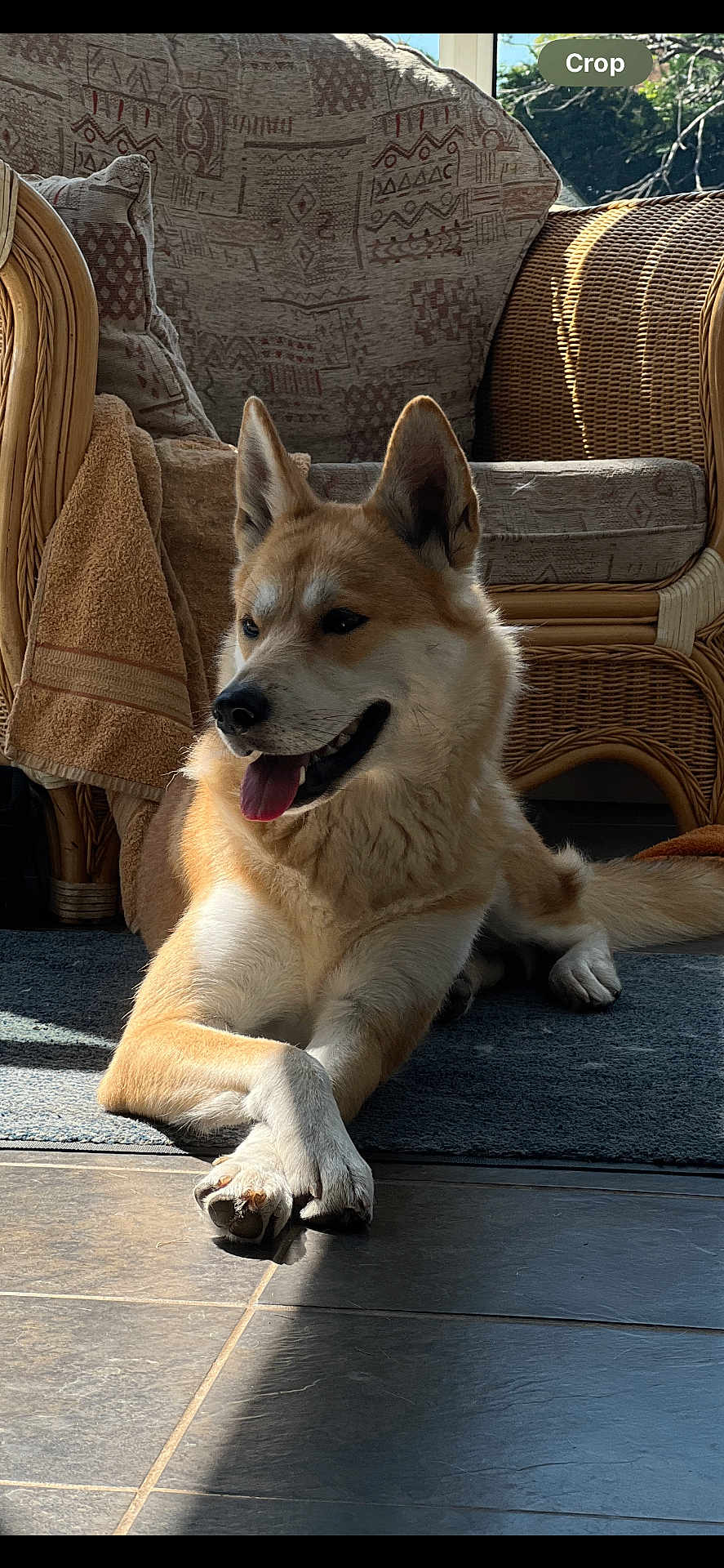 Kyla