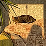 cat, tabby, sleeping, cushion, patterned_cushion, sunlight, shadow, leafy_wallpaper, indoor, plant, green_leaves, cozy, resting, feline, pet, home_interior, warm_light, relaxation, soft_texture, quiet