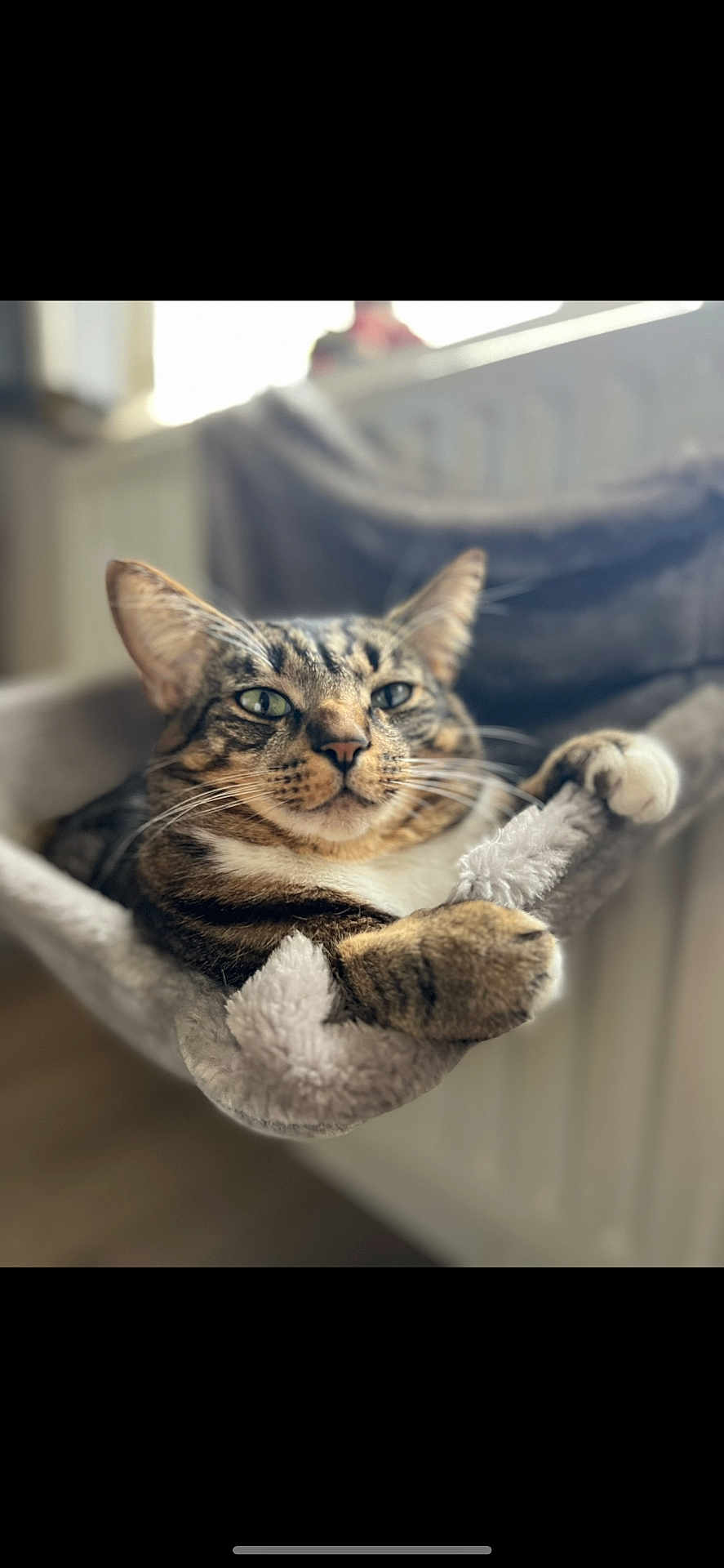 Sid