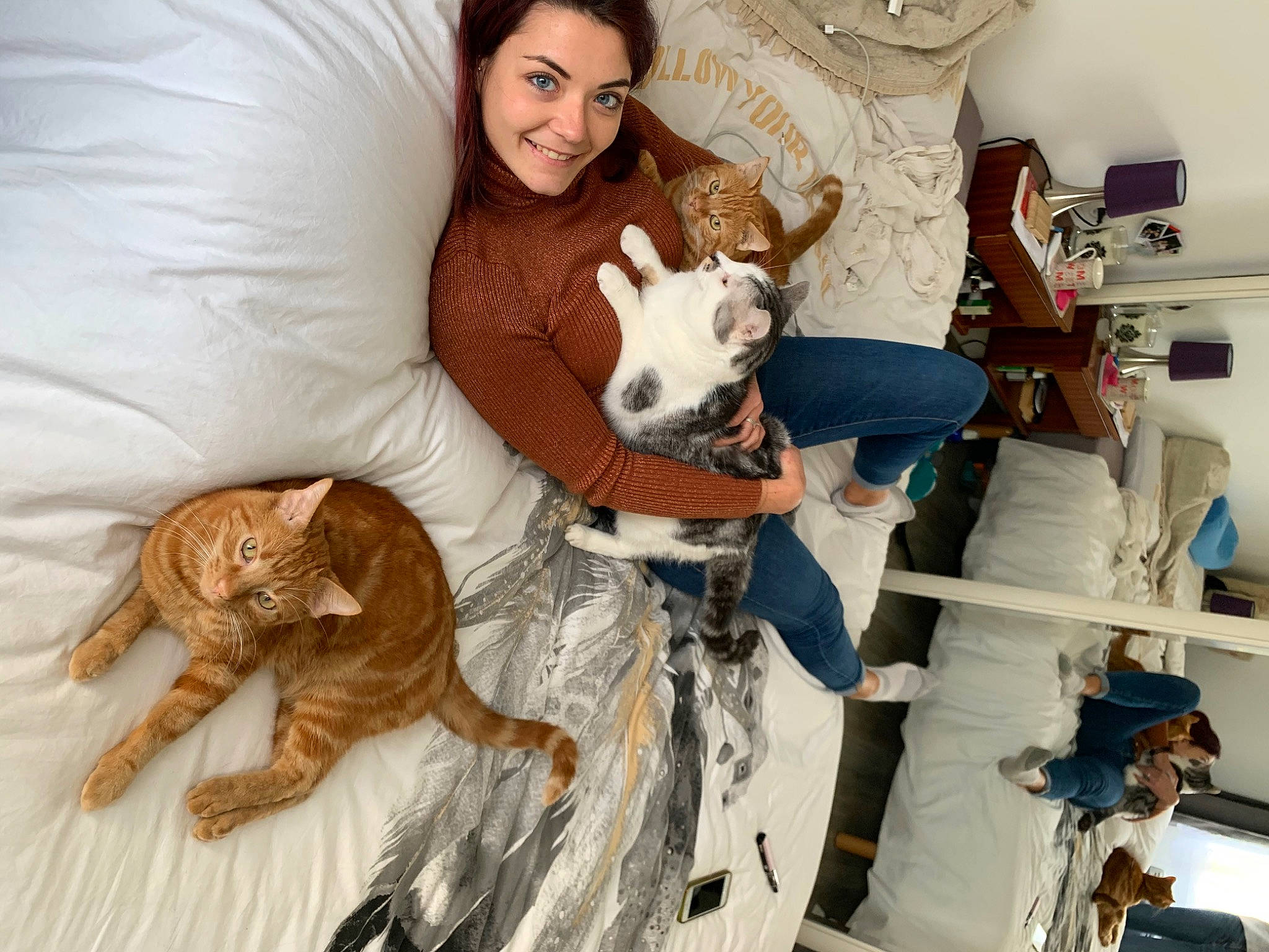 Loupy a rejoint le concours — aidez-le/la à gagner de superbes lots ! art, bed, big_cats, carnivore, comfort, companion_dog, couch, domestic_short_haired_cat, event, fawn, felidae, fur, happy, room, small_to_medium_sized_cats, smile, stuffed_toy, tail, terrestrial_animal, toy