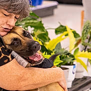 Smitty joined the competition — help win amazing prizes! woman, dog, hug, affection, happy_dog, indoor, plants, person, pet, smiling_dog, close_up, brown_dog, casual_clothing, leisure, bond, love, animal, friendship, comfort, joy