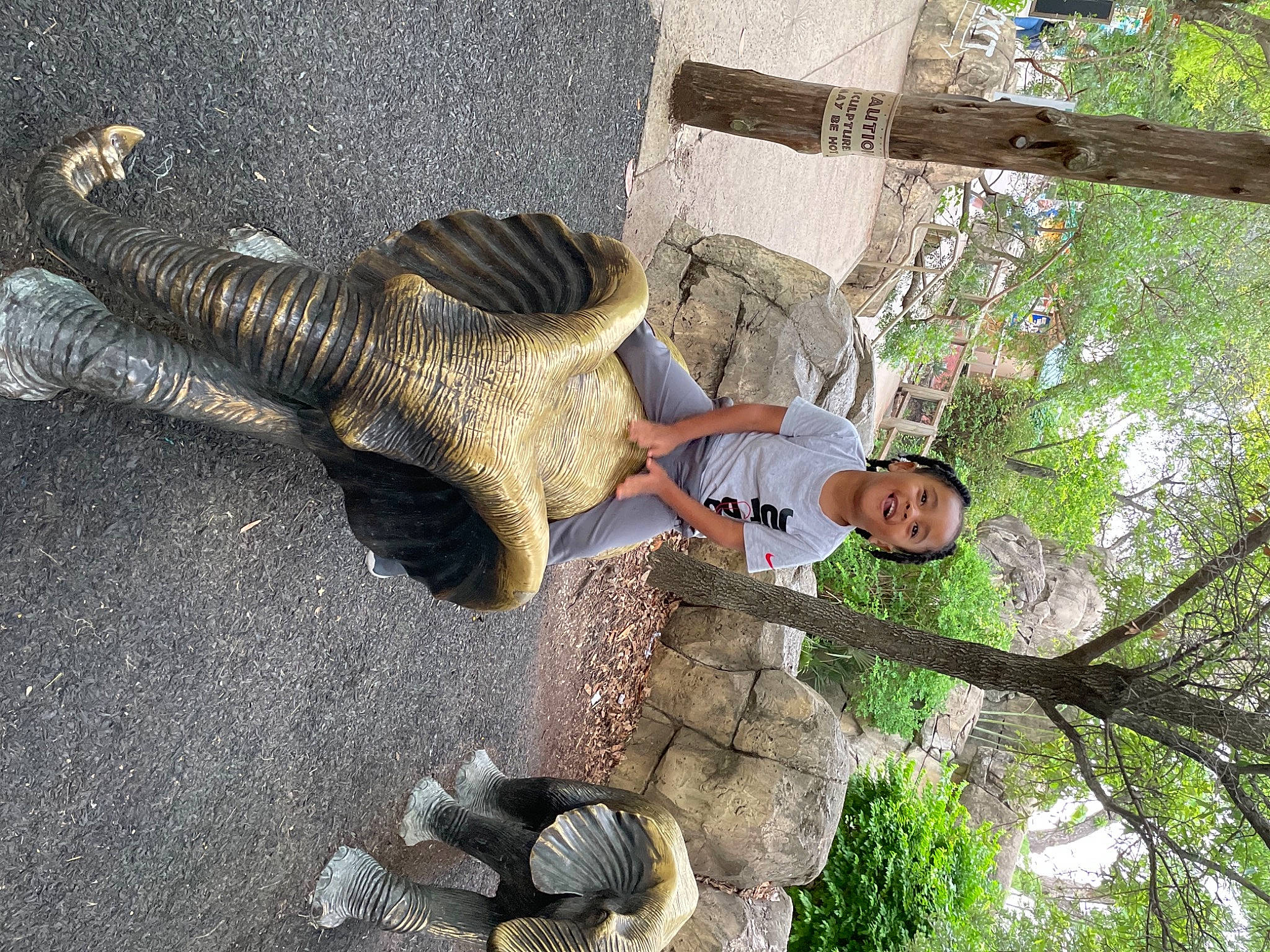 Jordyn joined the competition — help win amazing prizes! asphalt, concrete, grass, leisure, metal, musical_instrument, organism, people_in_nature, person, plant, tail, tree, trunk, twig, wood, woody_plant