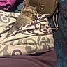 Hazel joined the competition — help win amazing prizes! cat, sleeping, blanket, bed, purse, gray_tabby, indoor, cozy, patterned_blanket, feline, domestic_cat, resting, fur, whiskers, ears, nose, closed_eyes, comfort, household, fabric
