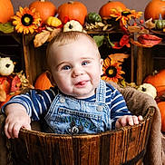 Luke is registered to the contest to win money with this photo: baby, infant, child, overalls, denim, striped_shirt, mickey_mouse, bucket, wooden_bucket, pumpkin, gourds, sunflower, fall_decor, autumn, leaves, smiling, tongue_out, cute, holiday, festive