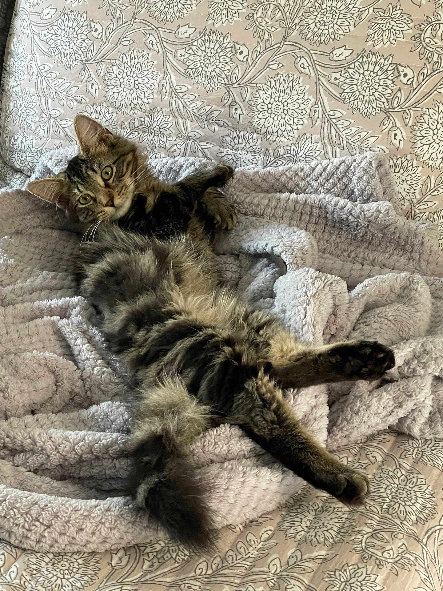 Leo