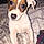 Nina