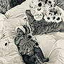 Zaryus joined the competition — help win amazing prizes! baby, infant, one_month, blanket, headband, sunflower, flower, outdoor, grass, pillow, soft_texture, patterned_clothing, lying_down, newborn, cute, child, nature, resting, portrait, peaceful