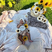 Zaryus is registered to the contest to win money with this photo: baby, infant, one_month, blanket, sunflower, flower, headband, outdoor, grass, pillow, greenery, soft_texture, nature, cute, peaceful, lying_down, summer, warm_light, child, portrait