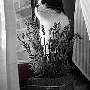 Manouche a rejoint le concours — aidez-le/la à gagner de superbes lots !