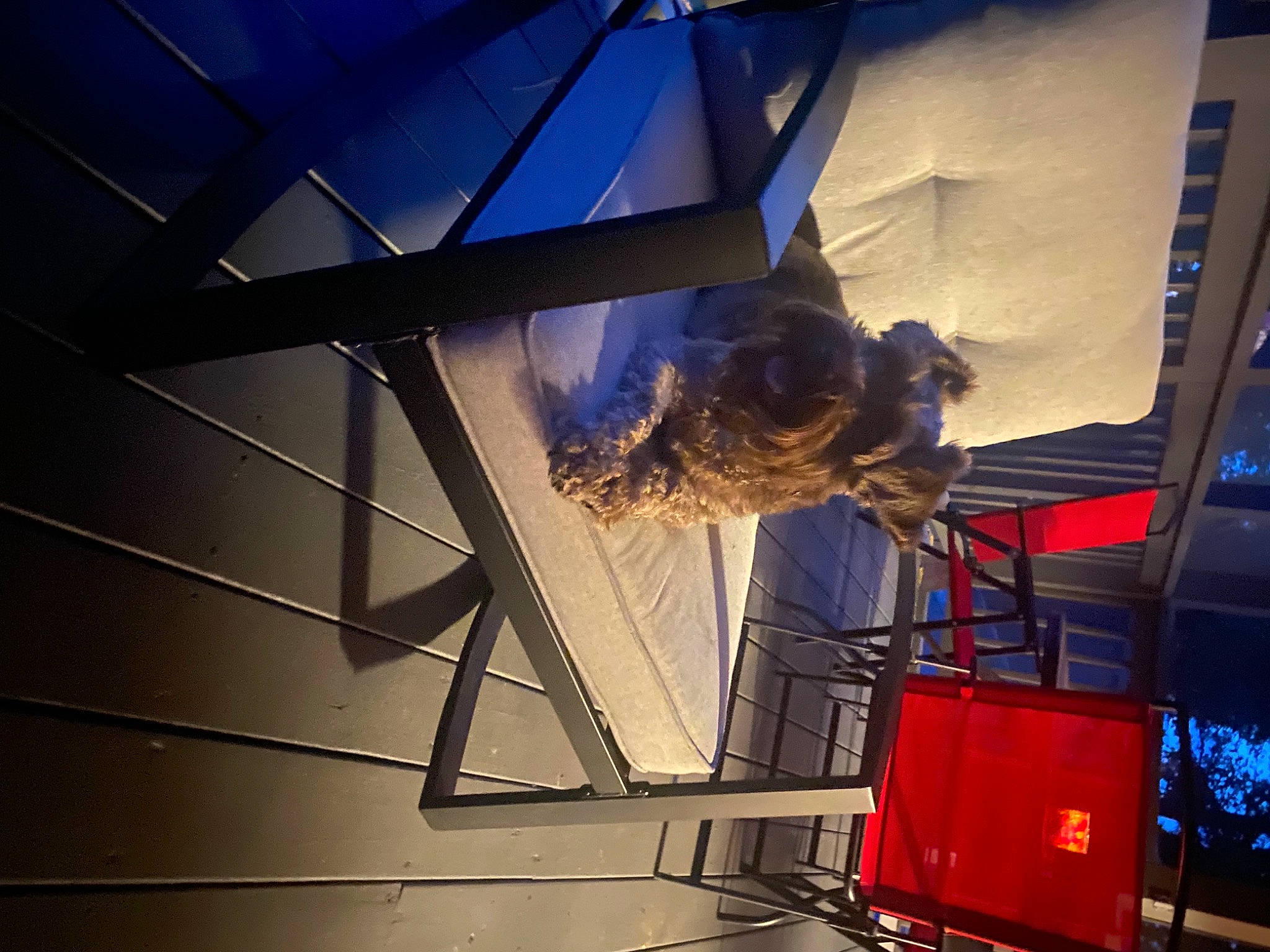 Libbie joined the competition — help win amazing prizes! art, blue, building, electric_blue, electricity, engineering, entertainment, event, glass, lens_flare, lighting, line, metal, sky, space, stairs, technology, tints_and_shades, triangle, wing