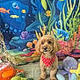 bandana, cartoon_fish, colorful, coral, cozy, cute, dog, fabric_backdrop, indoor, octopus, pet, playful, plush_toy, red_bandana, sea_life, small_dog, stuffed_animal, toy, turtle, underwater_backdrop