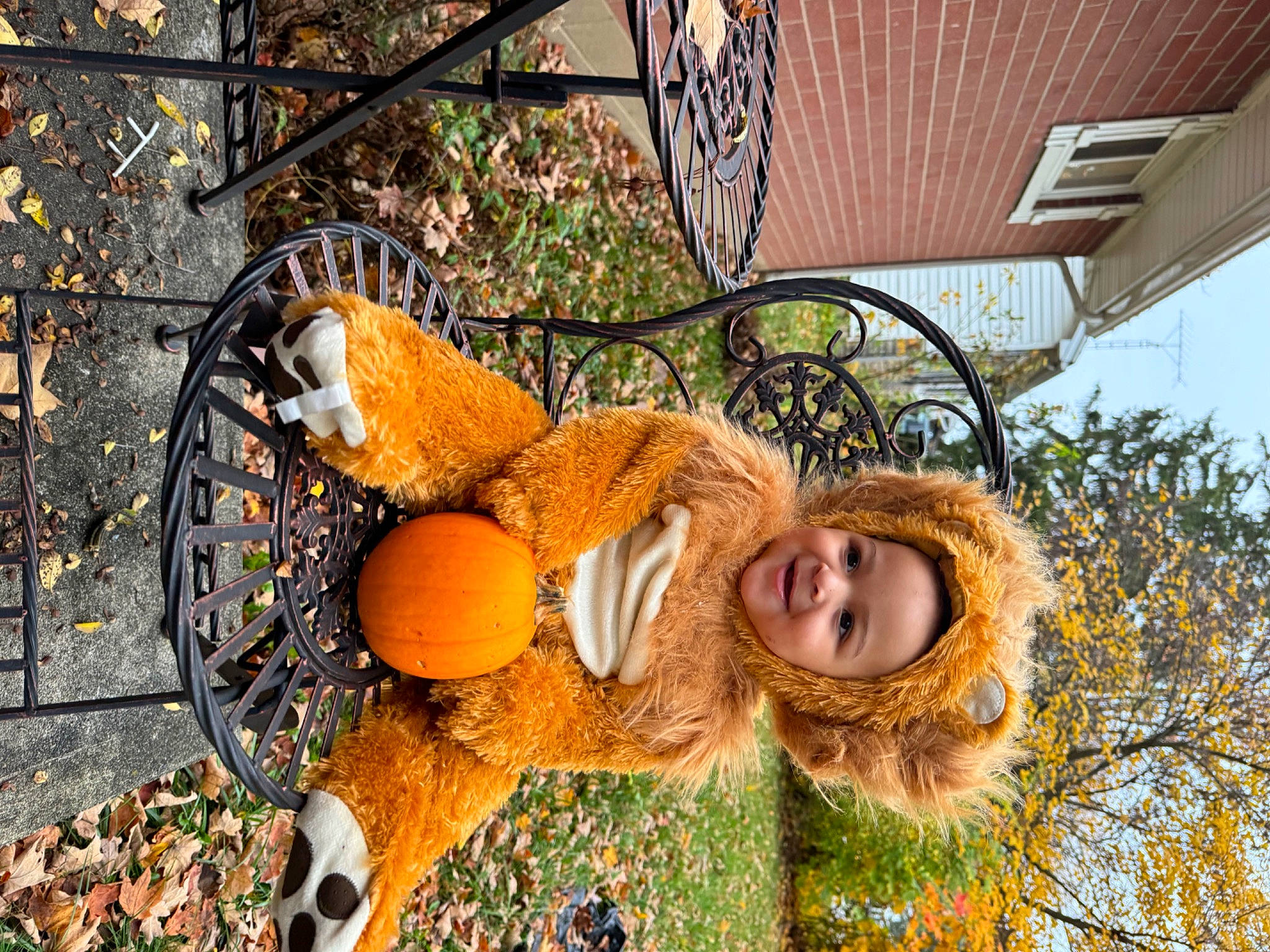 Ben joined the competition — help win amazing prizes! ball, fawn, fruit, fun, fur, gourd, grass, happy, joy, leisure, people_in_nature, person, plant, pumpkin, sitting, sky, stuffed_toy, toy, tree, winter