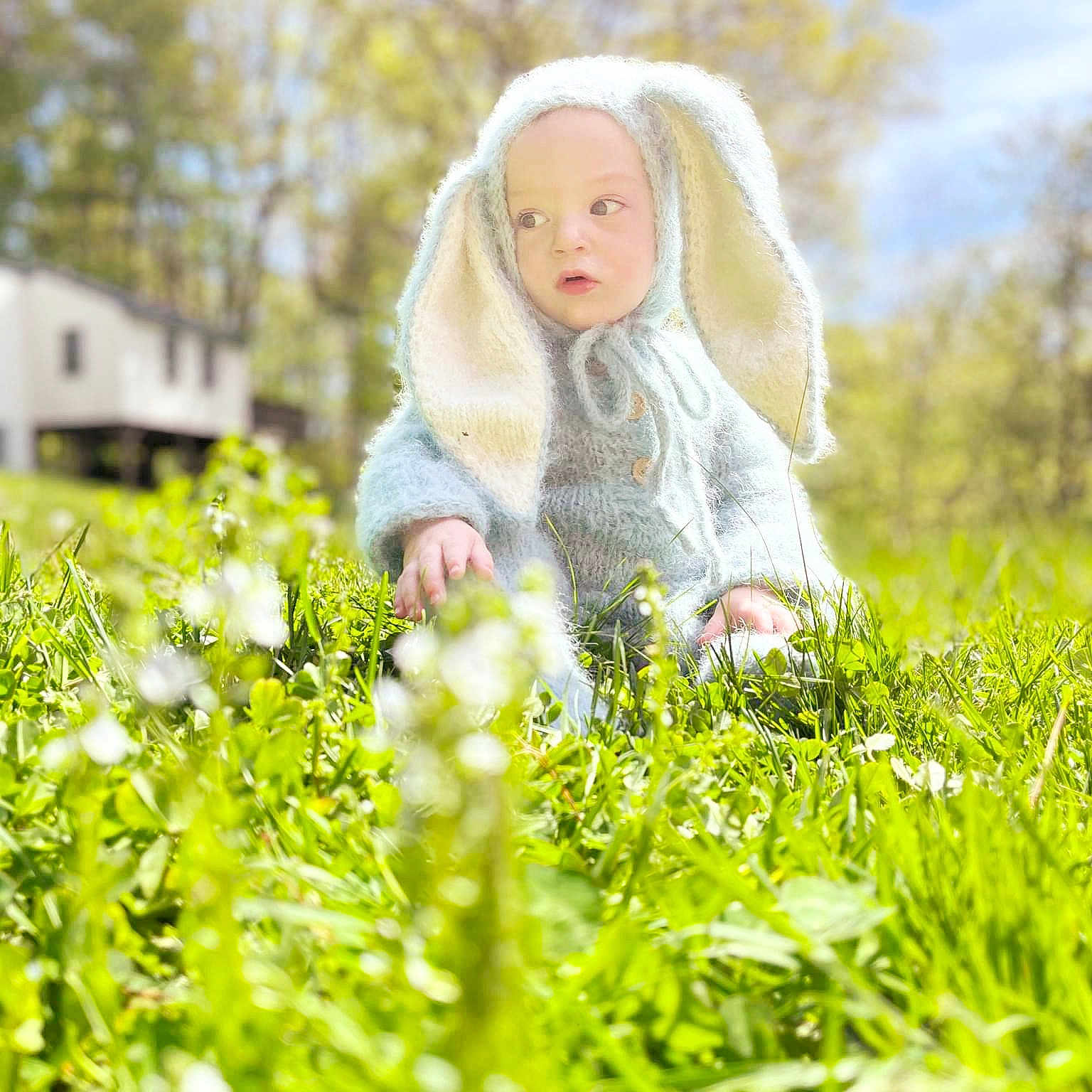 Everest joined the competition — help win amazing prizes! blond, brown_hair, doll, field, grass, grassland, happy, landscape, lawn, meadow, natural_environment, natural_landscape, people_in_nature, plant, prairie, sitting, sunlight, toy, tree, wood
