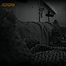 animal, bed, bedding, bedroom, blanket, cat, cozy, dark, date_stamp, ears, eyes, face, guitar, indoor, night_vision, pet, sleepy, surveillance, tabby_cat, whiskers