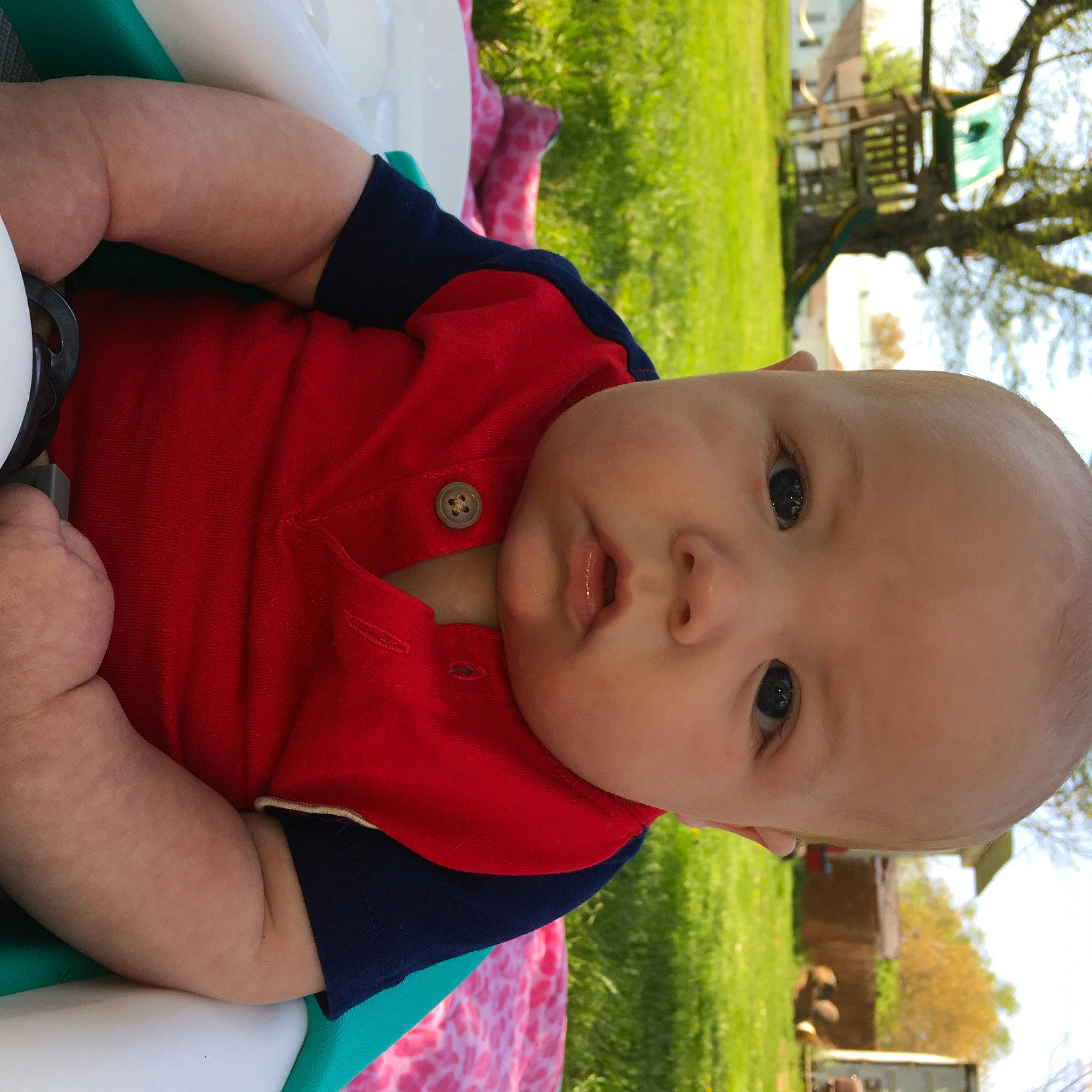 Austyn is registered to the contest to win money with this photo: arm, baby, cheek, child, chin, finger, fun, grass, green, hand, happy, leisure, mouth, nose, person, plant, smile, toddler, tree, vacation