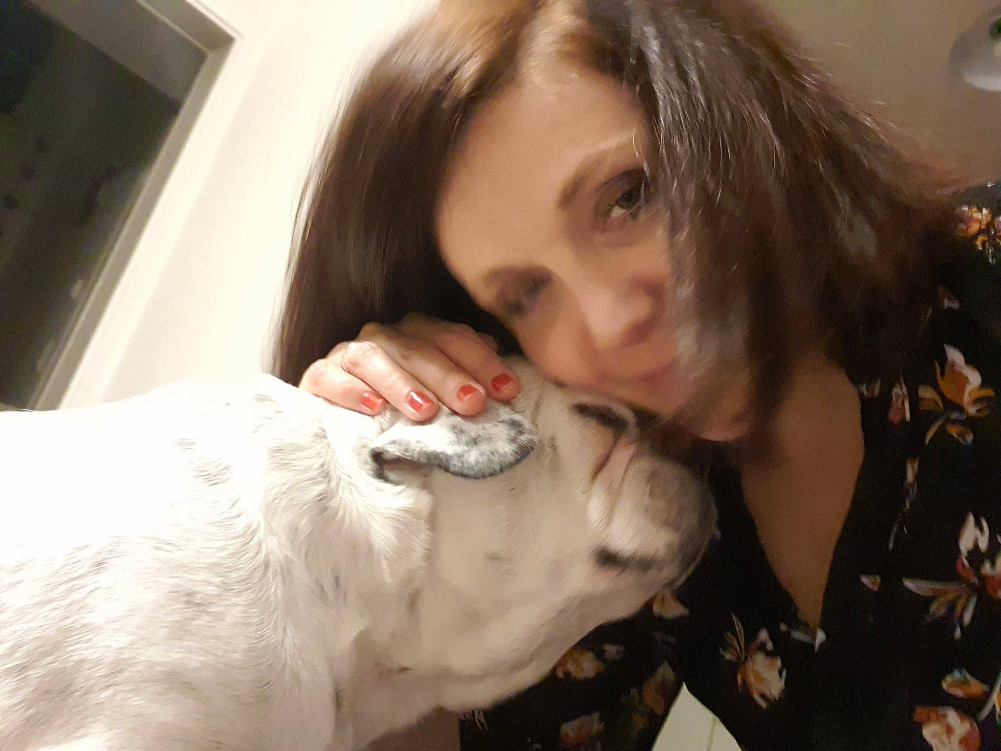 Réglisse participe au concours pour gagner de l'argent avec cette photo : brown_hair, carnivore, comfort, companion_dog, dog, dog_breed, ear, eyebrow, eyelash, fawn, felidae, fur, gesture, happy, jaw, long_hair, nose, small_to_medium_sized_cats, snout, whiskers