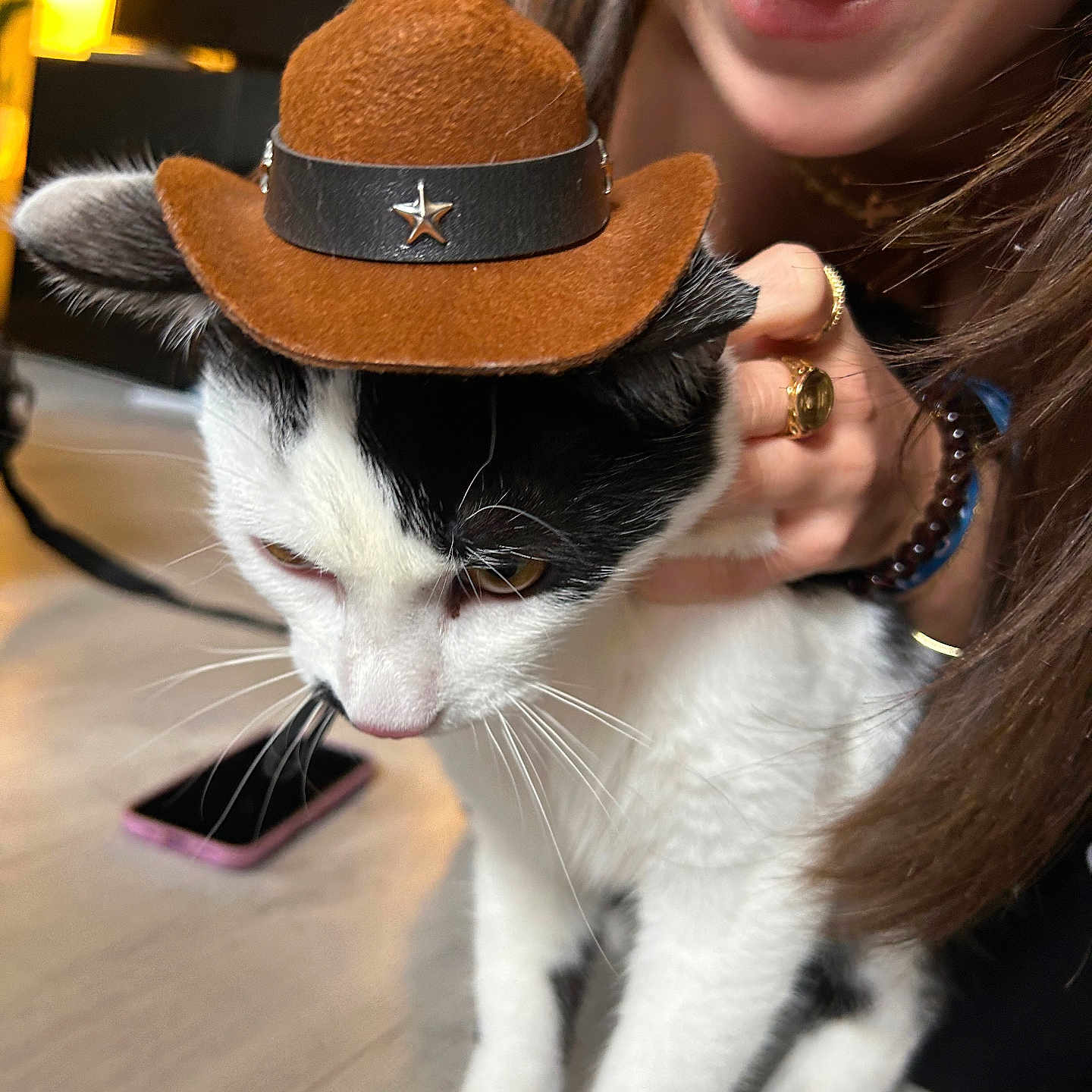 Max a rejoint le concours — aidez-le/la à gagner de superbes lots ! accessories, animal, bodypart, cat, clothing, cowboyhat, face, finger, hand, hat, head, jewelry, kitten, necklace, person, pet, photography, portrait, strap, sunhat