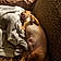 Jake And Jaydee Girl