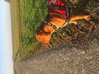 O Black participe au concours pour gagner de l'argent avec cette photo : tree