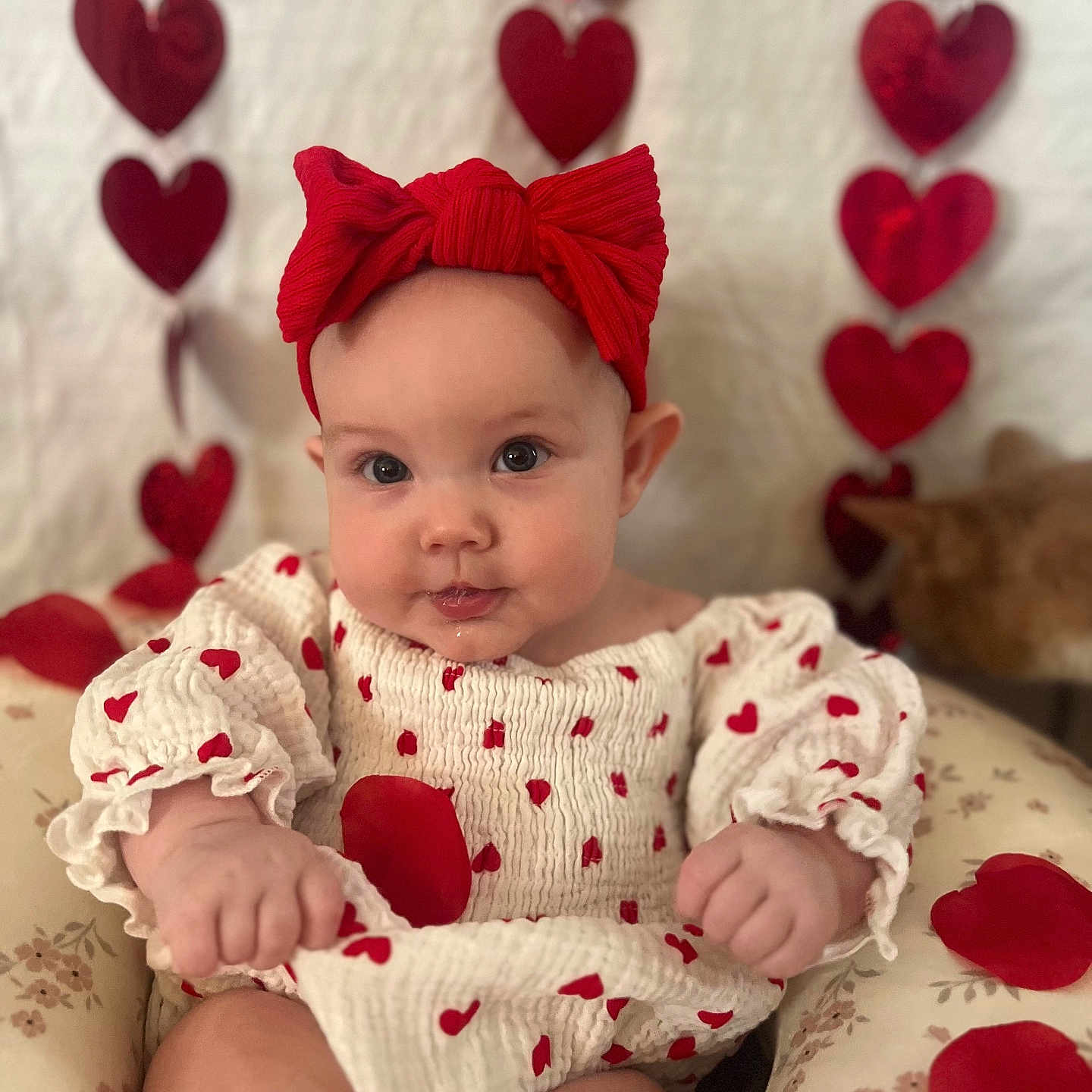 Hazel is registered to the contest to win money with this photo: animal, baby, balloon, cat, clothing, cushion, diaper, face, flower, hat, head, homedecor, person, pet, petal, photography, plant, portrait, sitting, symbol