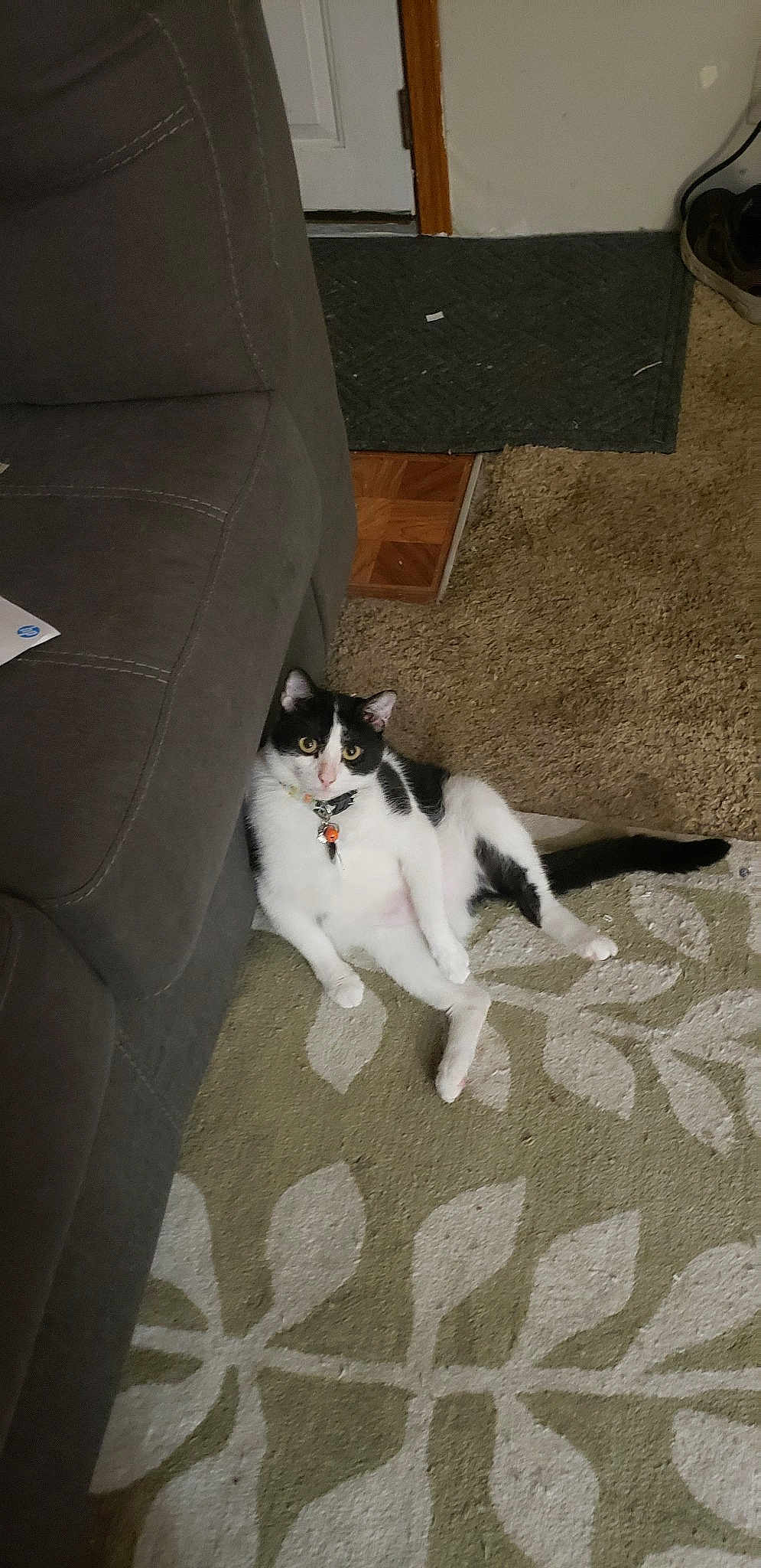 Marco