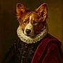 Athos a rejoint le concours — aidez-le/la à gagner de superbes lots ! animal_portrait, artistic, brown_fur, canine, classic, costume, dog, dramatic_lighting, dressed_up, elegant, historical_style, indoor, noble, portrait, renaissance, ruffled_collar, serious_expression, studio_lighting, velvet_cloak, white_markings