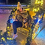 bench, christmas_lights, cold_weather, decorations, dog, festive, happy, hat, night, outdoor, pavement, pet, puppy, scarf, sleigh, smiling, stone_wall, tree, winter_clothing, woman